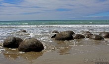 Альбом отзыва "Наверное, сами Боги здесь играли в бильярд"