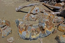 Наверное, сами Боги здесь играли в бильярд