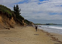 Альбом отзыва "Наверное, сами Боги здесь играли в бильярд"