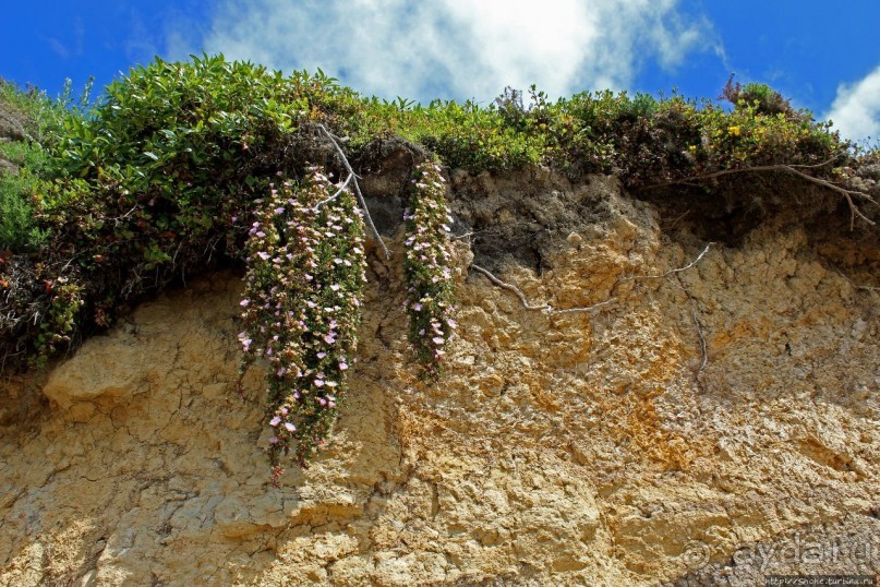 Наверное, сами Боги здесь играли в бильярд
