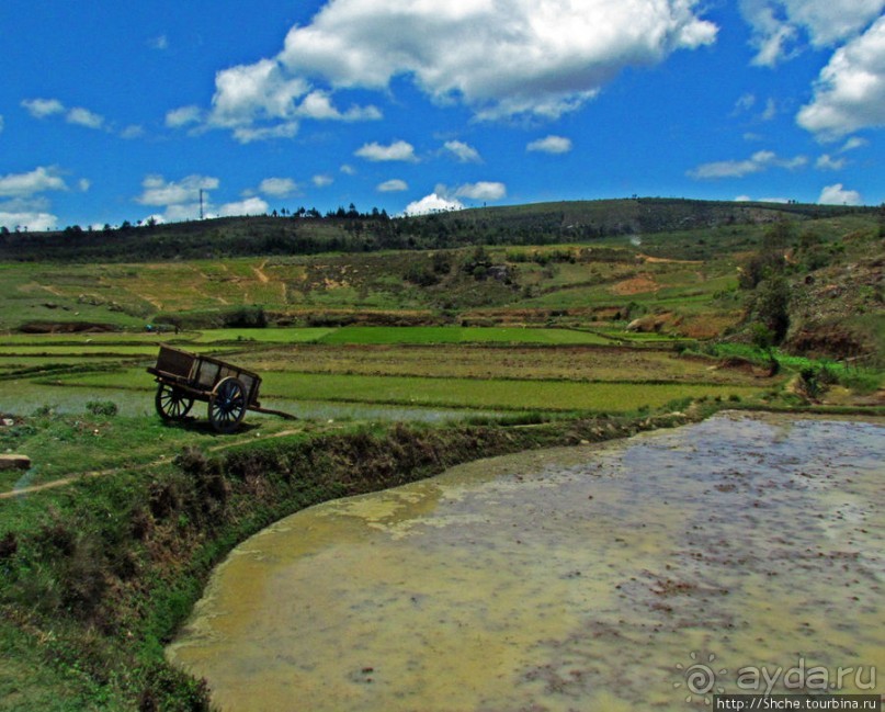 Мадагаскарские картинки. Провинция Антананариву. Восток
