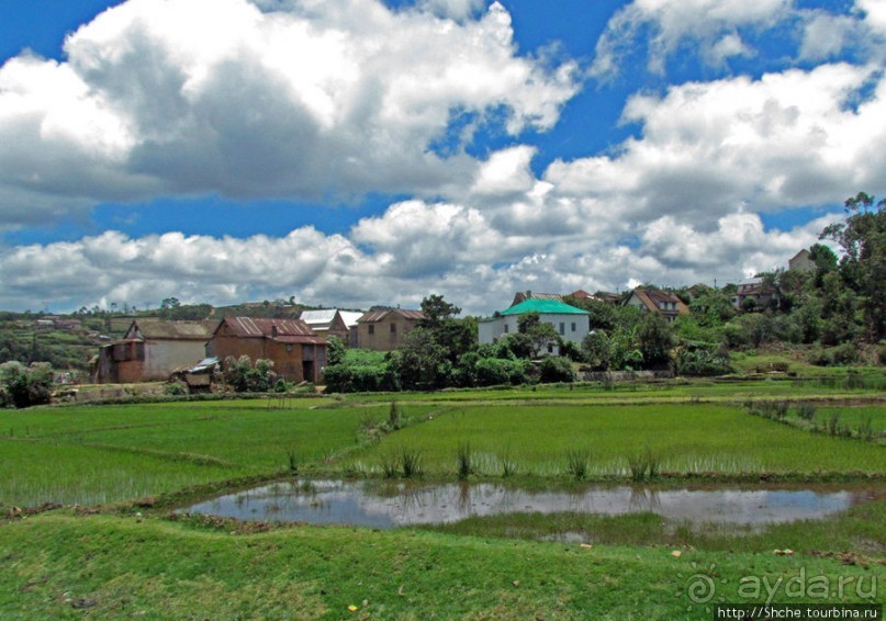 Мадагаскарские картинки. Провинция Антананариву. Восток