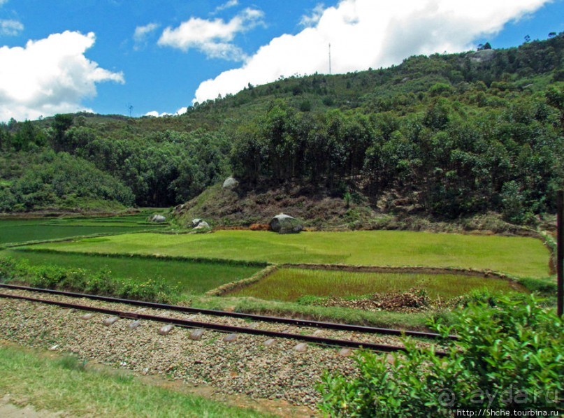 Мадагаскарские картинки. Провинция Антананариву. Восток
