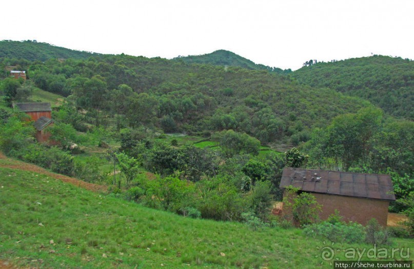 Мадагаскарские картинки. Провинция Антананариву. Восток