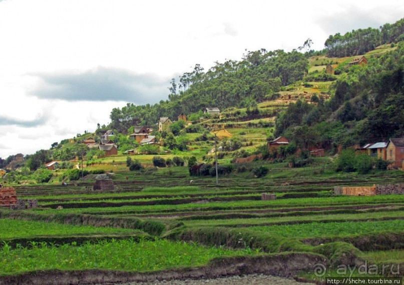 Мадагаскарские картинки. Провинция Антананариву. Восток