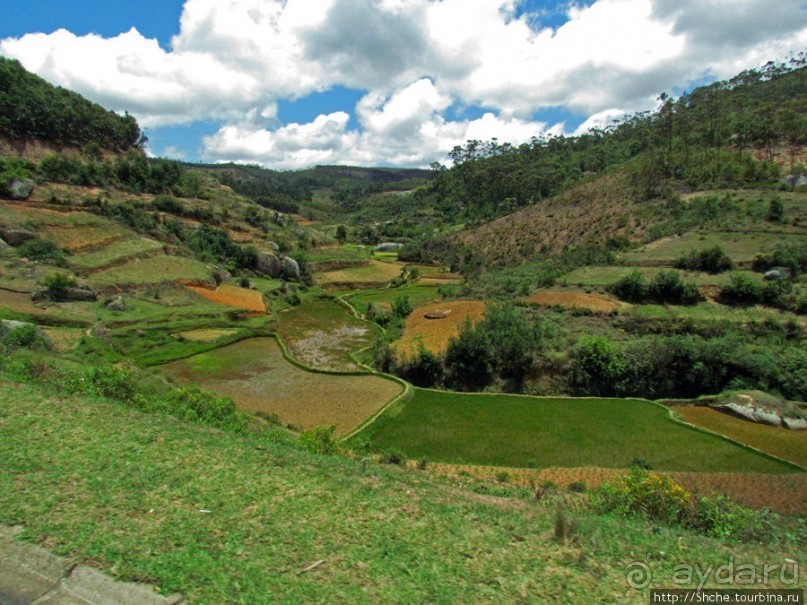 Мадагаскарские картинки. Провинция Антананариву. Восток