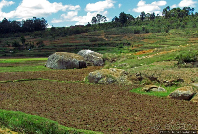 Мадагаскарские картинки. Провинция Антананариву. Восток