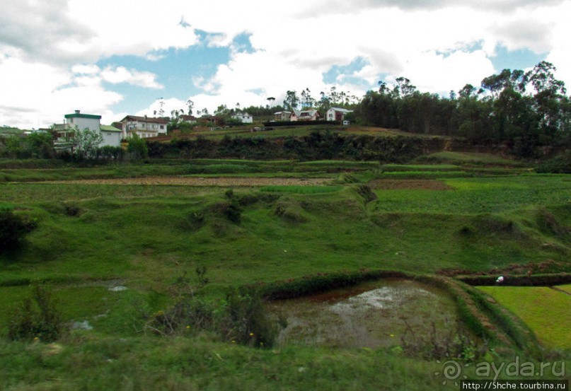 Мадагаскарские картинки. Провинция Антананариву. Восток