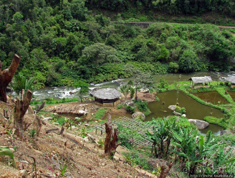 Мадагаскарские картинки. Провинция Антананариву. Восток