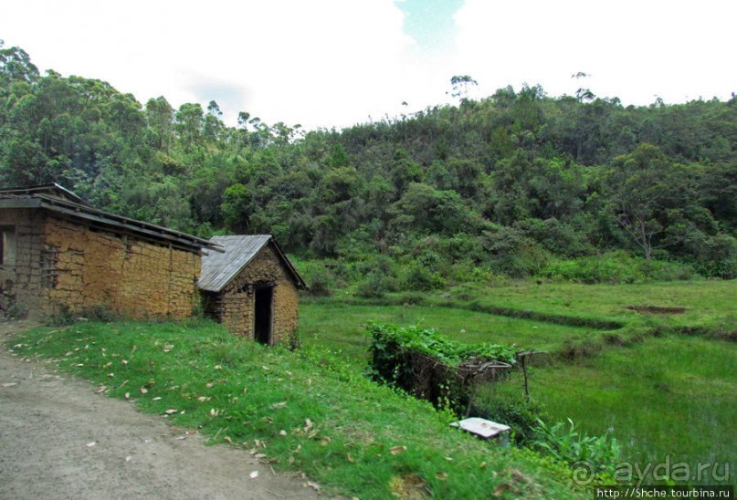 Мадагаскарские картинки. Провинция Антананариву. Восток