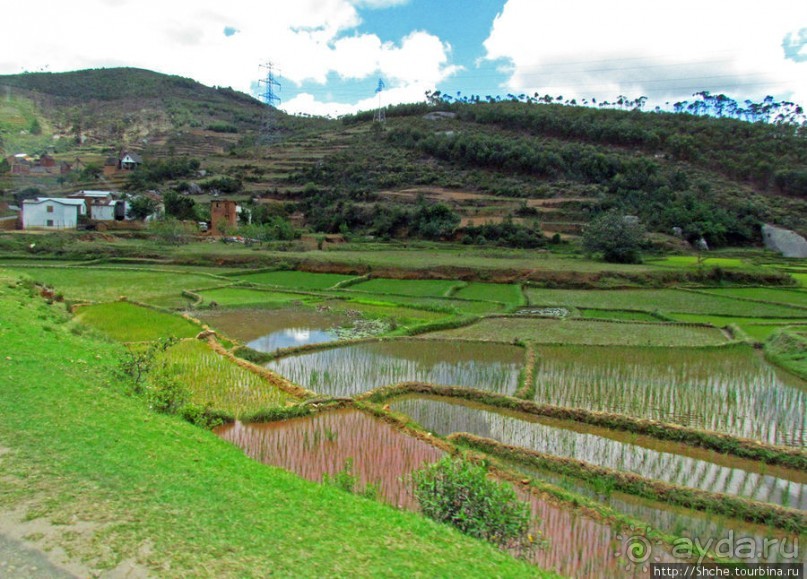 Мадагаскарские картинки. Провинция Антананариву. Восток
