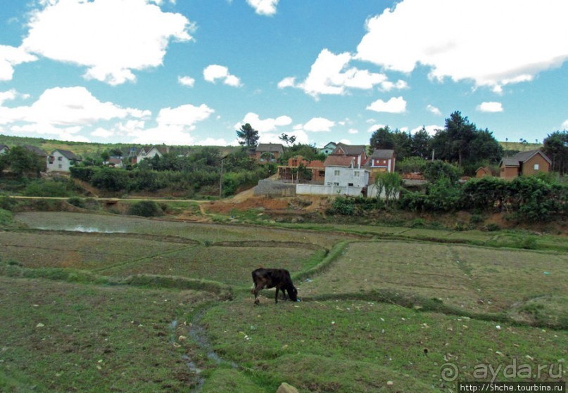Мадагаскарские картинки. Провинция Антананариву. Восток