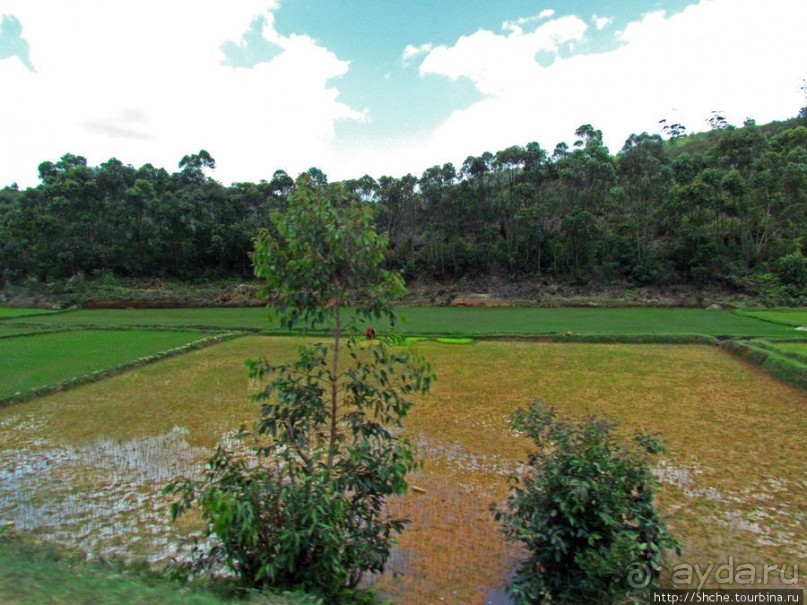Мадагаскарские картинки. Провинция Антананариву. Восток