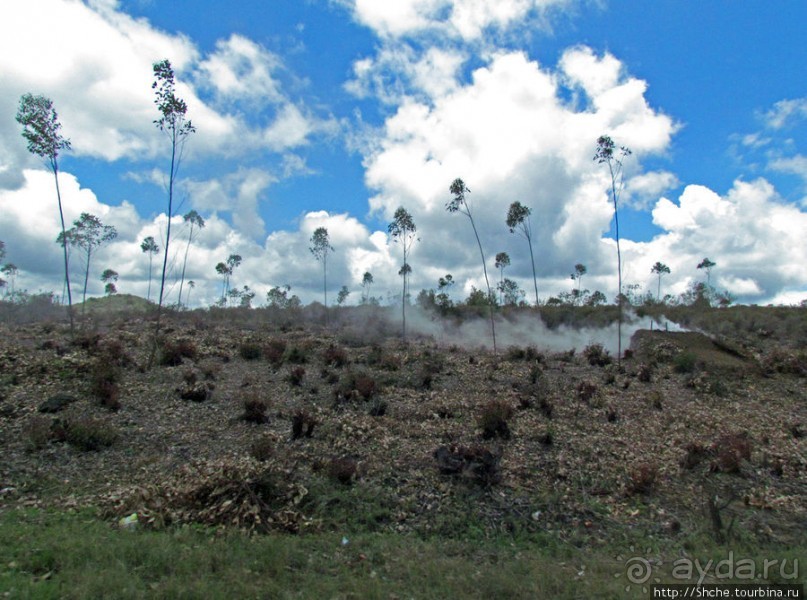 Мадагаскарские картинки. Провинция Антананариву. Восток