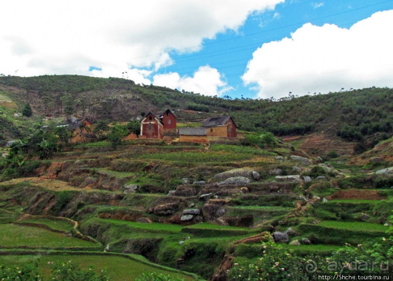 Мадагаскарские картинки. Провинция Антананариву. Восток