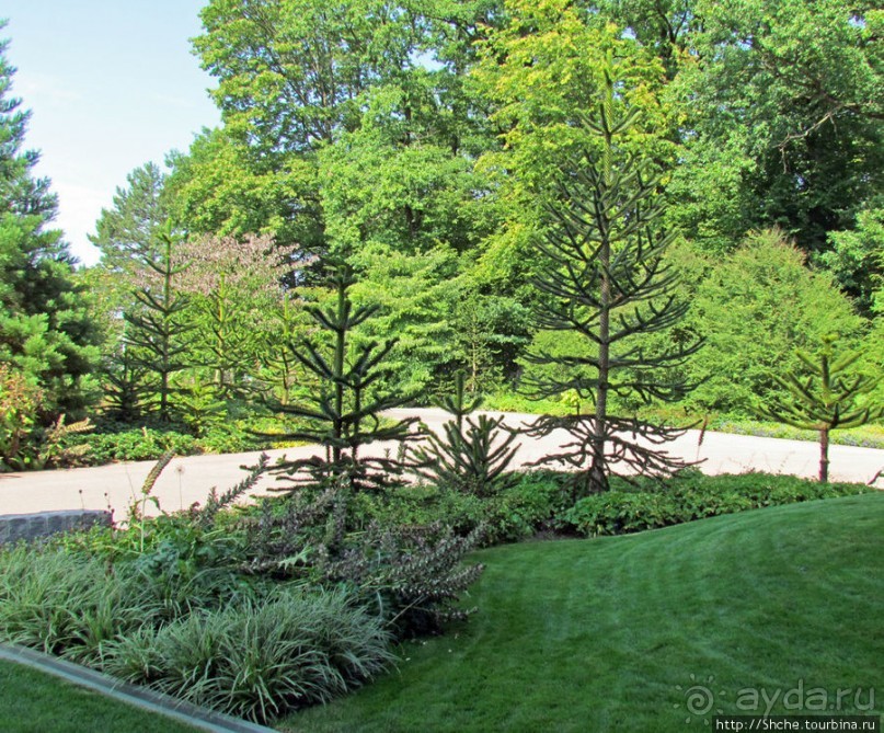 Штаб-квартира FIFA в Цюрихе