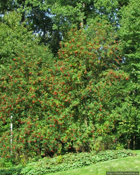 Штаб-квартира FIFA в Цюрихе