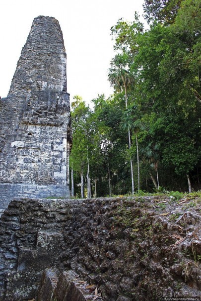 Тикаль. Площадь Семи Храмов