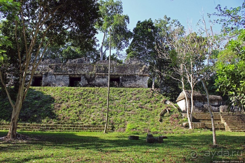 Альбом отзыва "Тикаль. Площадь Семи Храмов"