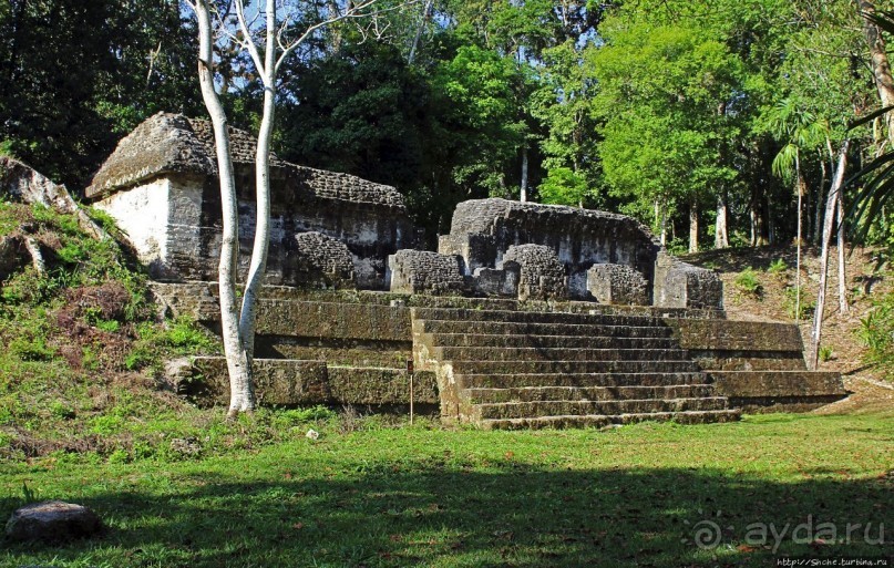 Альбом отзыва "Тикаль. Площадь Семи Храмов"