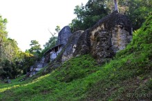Альбом отзыва "Тикаль. Площадь Семи Храмов"
