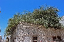 Al-Ghus House — дом ныряльщиков за жемчугом (ЮНЕСКО 1364)