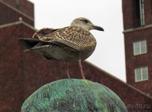 Ратушная площадь Осло