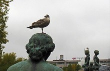 Ратушная площадь Осло