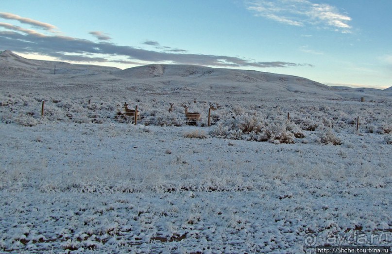 "Осторожно, на дорогах олени", утро на дорогах Вайоминга