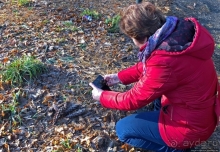 Роскошный ландшафтный парк у красивейшего замка Польши