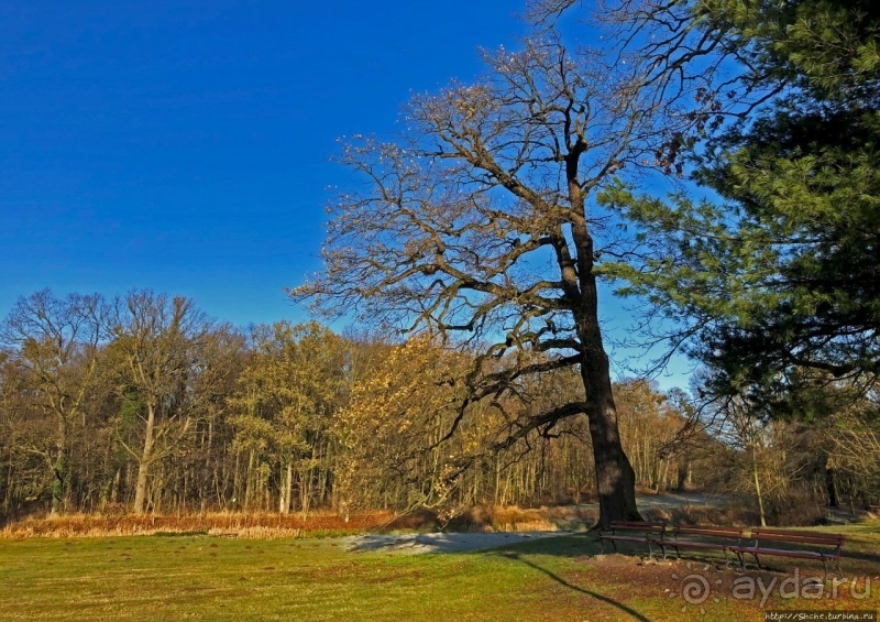 Роскошный ландшафтный парк у красивейшего замка Польши