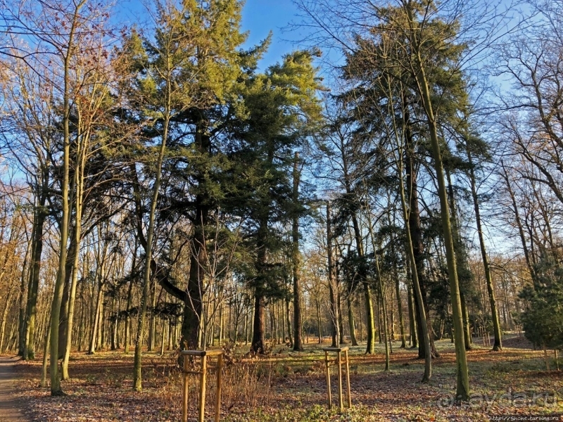 Роскошный ландшафтный парк у красивейшего замка Польши