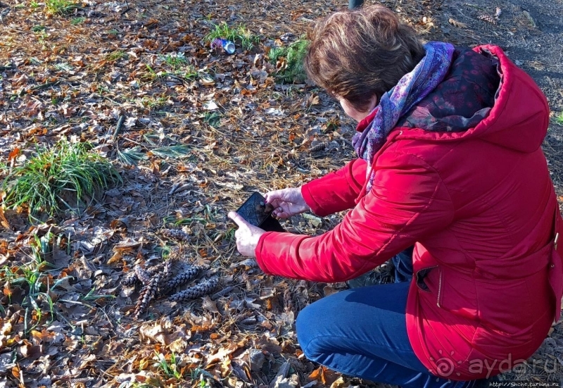 Роскошный ландшафтный парк у красивейшего замка Польши