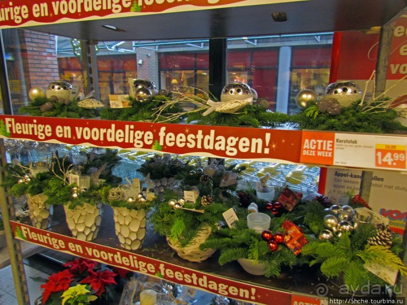 Русское имя на карте Голландии — Anna Paulowna