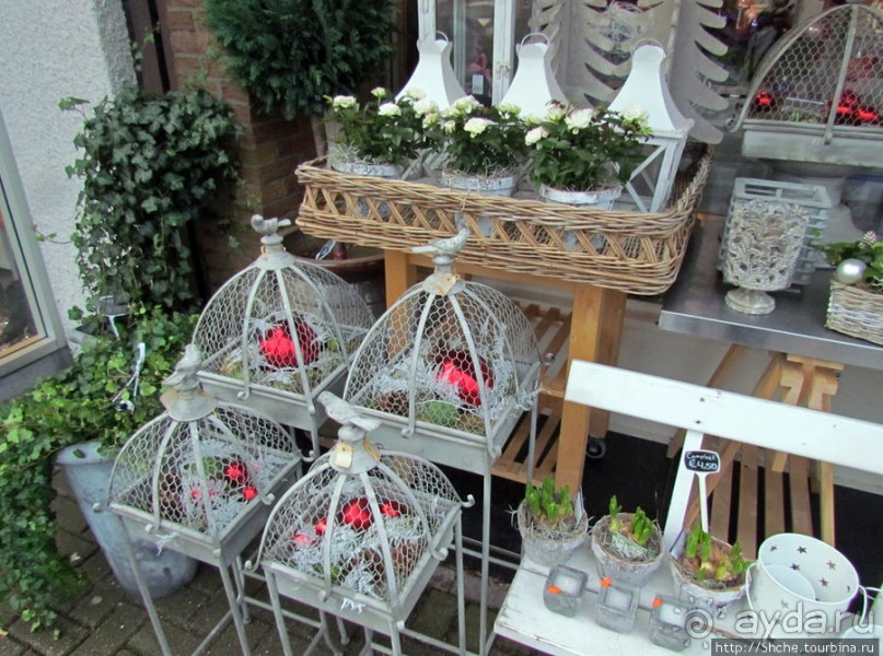 Русское имя на карте Голландии — Anna Paulowna