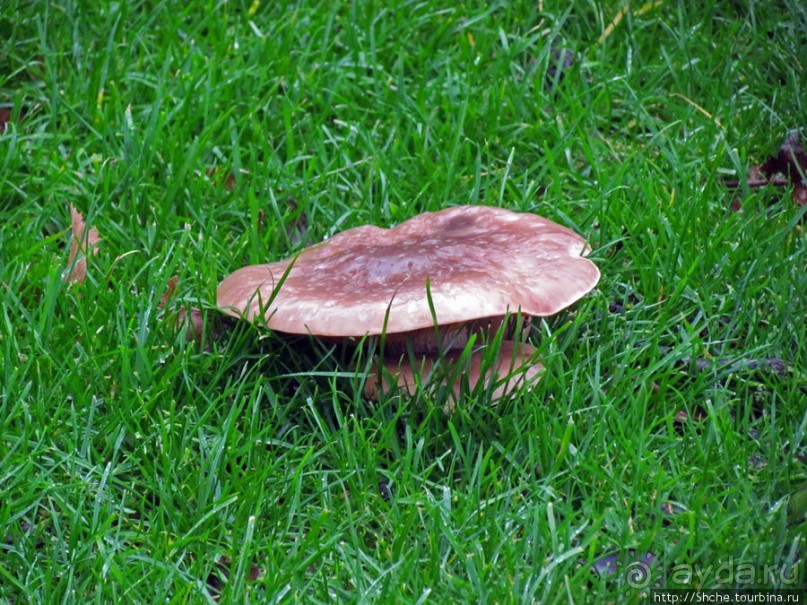 Русское имя на карте Голландии — Anna Paulowna