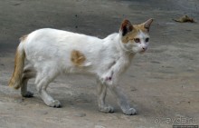 Ресторан с террасой над Меконгом