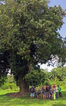 Обитатели Ботанического сада Энтеббе. Фауна