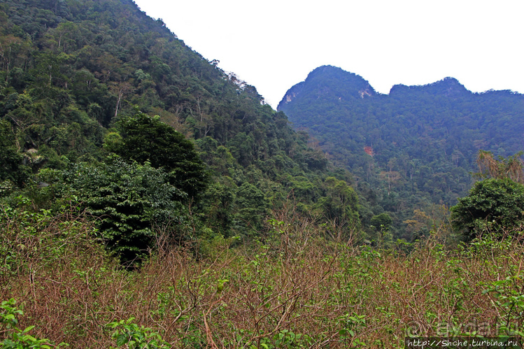 Полые скалы Вьетнама: Hung Ton — первый заплыв в подземелье