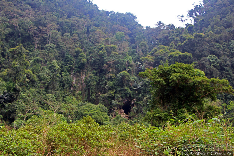 Полые скалы Вьетнама: Hung Ton — первый заплыв в подземелье