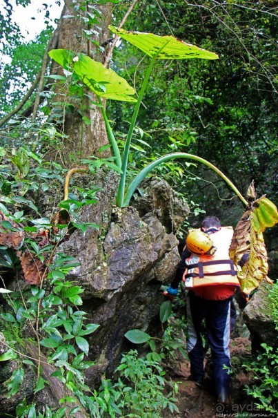 Полые скалы Вьетнама: Hung Ton — первый заплыв в подземелье