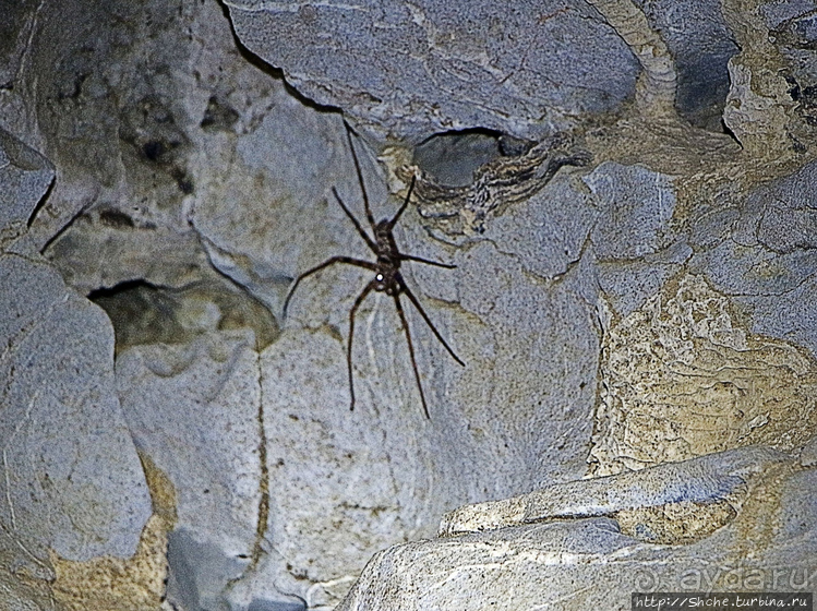 Полые скалы Вьетнама: Hung Ton — первый заплыв в подземелье