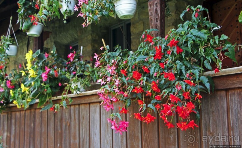 Монастыри румынской Молдовы. Молдовица (ЮНЕСКО 598-003)