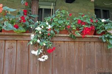 Монастыри румынской Молдовы. Молдовица (ЮНЕСКО 598-003)