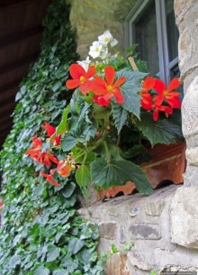 Монастыри румынской Молдовы. Молдовица (ЮНЕСКО 598-003)