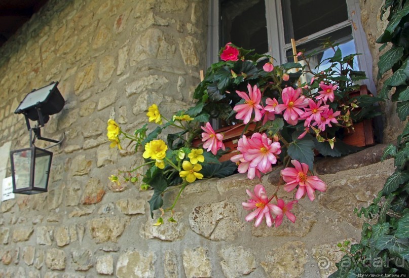 Монастыри румынской Молдовы. Молдовица (ЮНЕСКО 598-003)