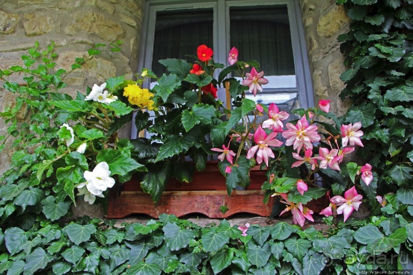 Монастыри румынской Молдовы. Молдовица (ЮНЕСКО 598-003)