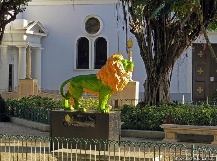 "Львы Понсе" — оригинальный способ почтить своих со-горожан