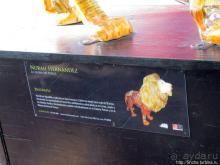 "Львы Понсе" — оригинальный способ почтить своих со-горожан