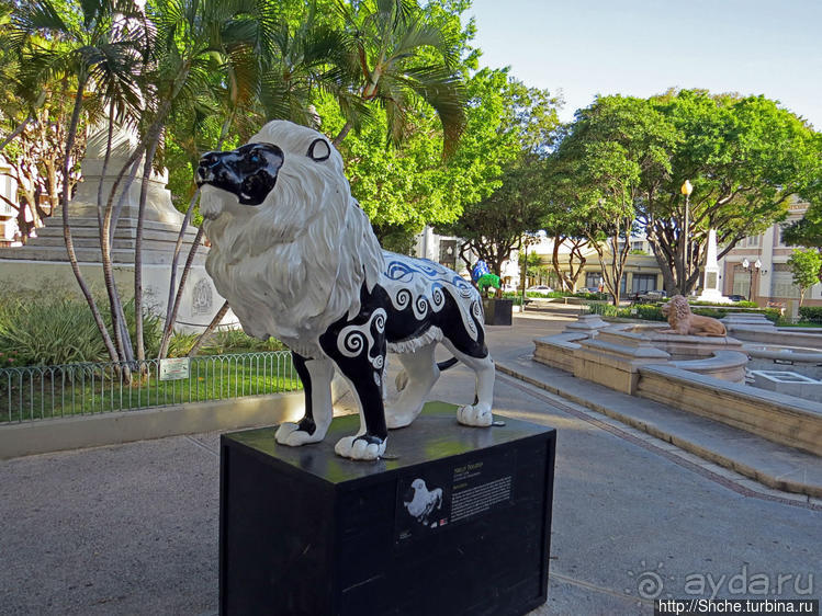 "Львы Понсе" — оригинальный способ почтить своих со-горожан